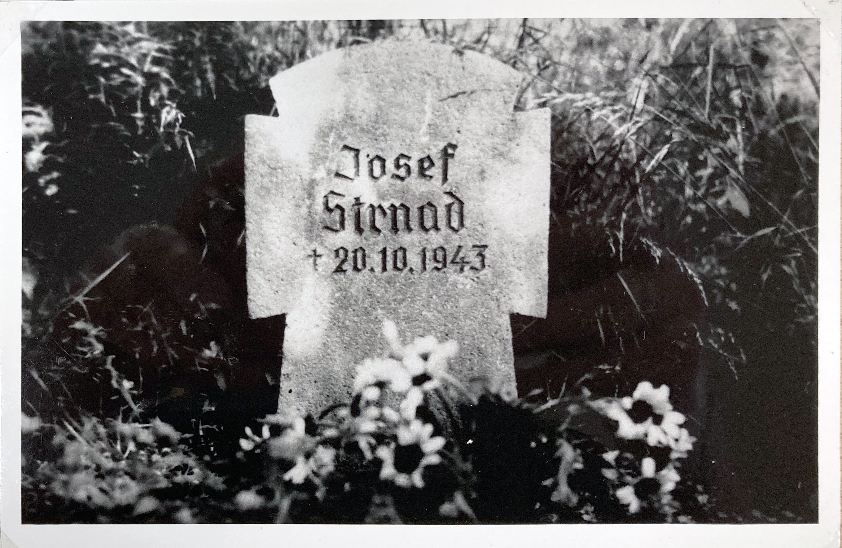 Grabstein für Josef Strnad auf dem Johannisfriedhof, um 1960
© privat
