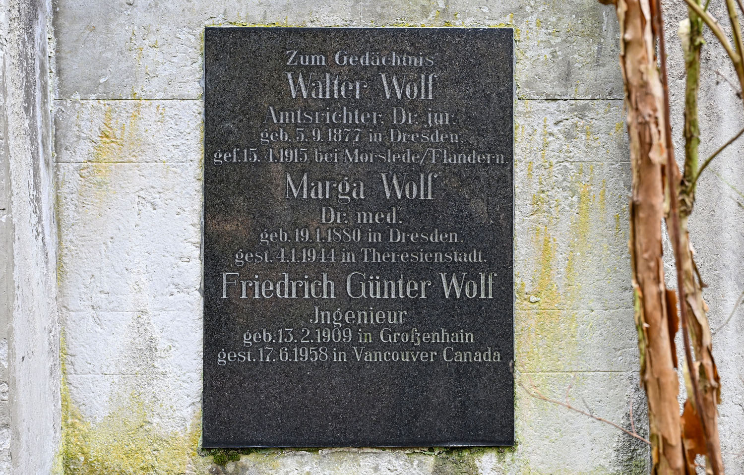 Gedenken an Marga Wolf an der Ruhestätte ihrer Familie (Detail)
© StSG/GSMP, Holm Helis, 2025