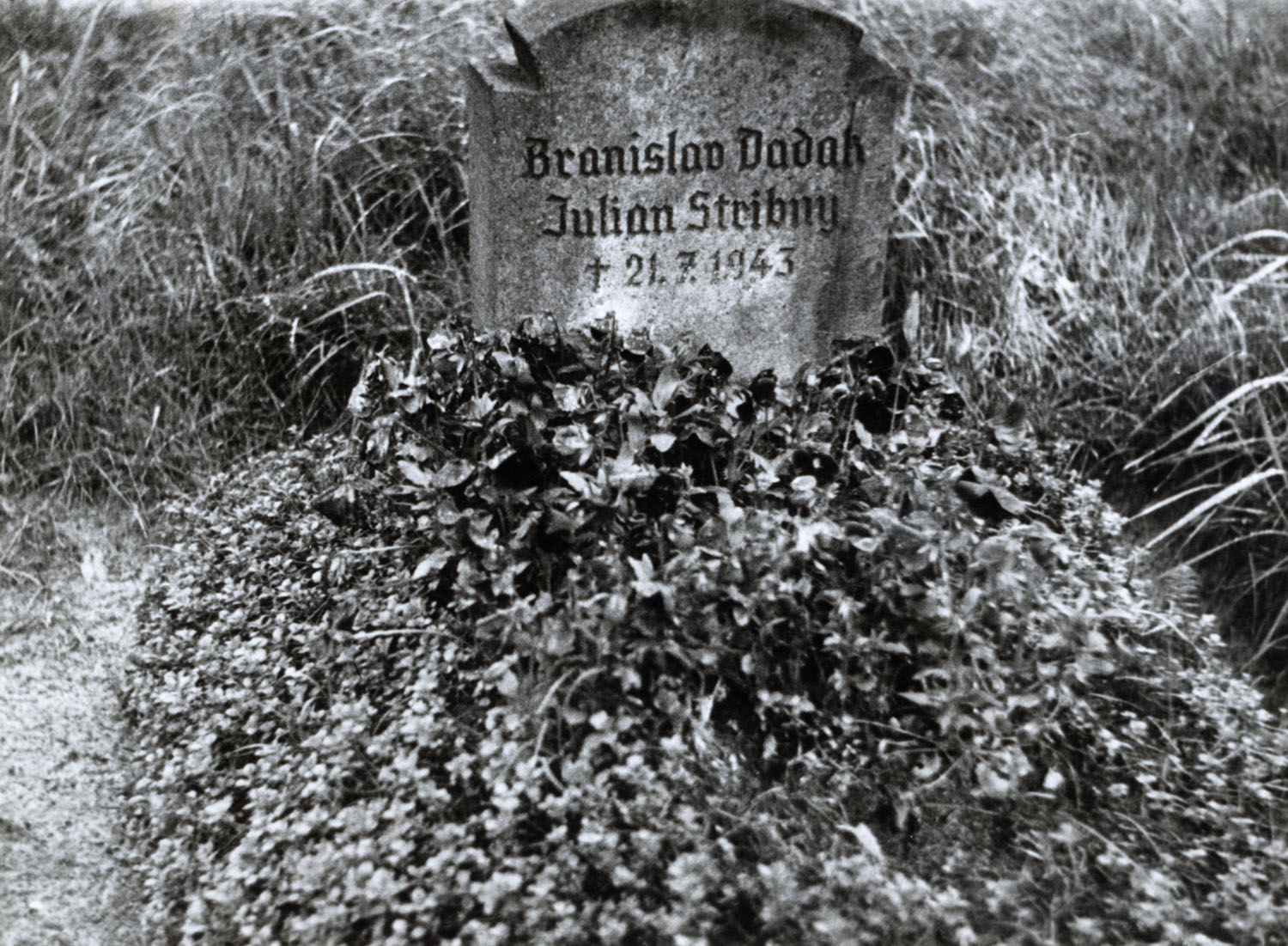 Grabstein für Břetislav Dadák und Julian Střibrný im Grabfeld 1E, vor 1962
© privat
