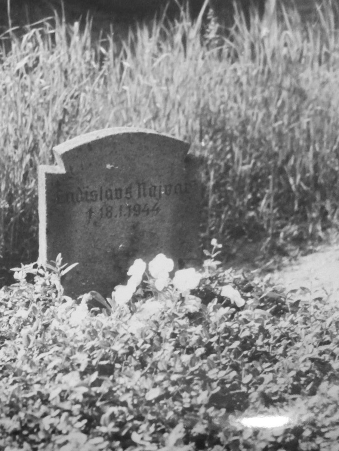 Grabstein für Ladislav Najvar, nach 1965
© Privatbesitz Grabstein für Ladislav Najvar