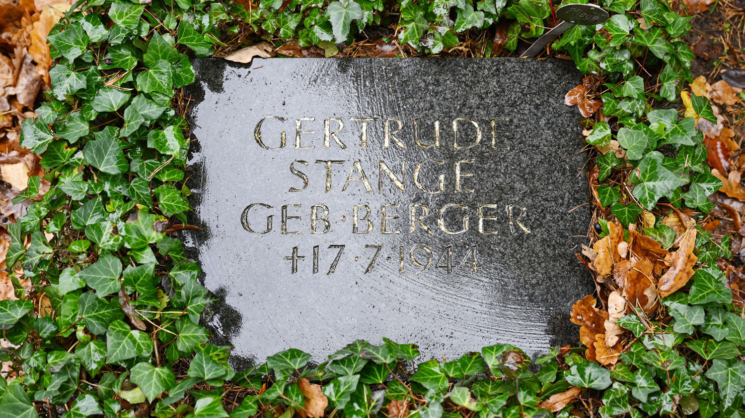 Grabstein für Gertrud Stange
© StSG/GSMP, Holm Helis, 2025
