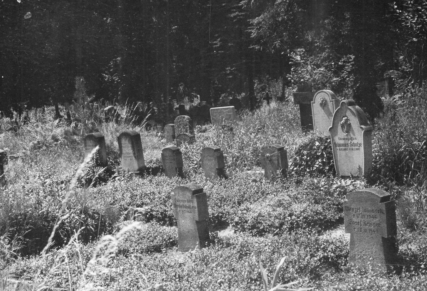 Vorher: Die vierte und fünfte Grabreihe vor 1976 mit fünf Gräbern für Hinrichtungsopfern und dem Grabstein für Johannes Scholze, alle markiert
© privat