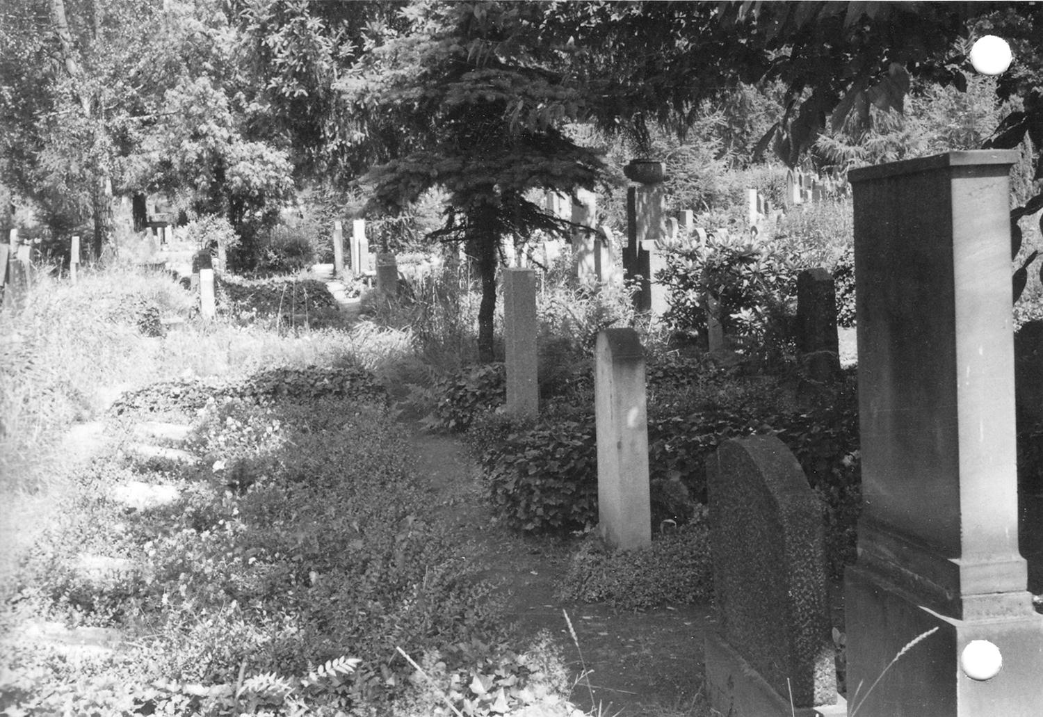 Reihe 26: Gräber Nr. 30 bis 34 mit Liegesteinen, 1960er-Jahre
© privat