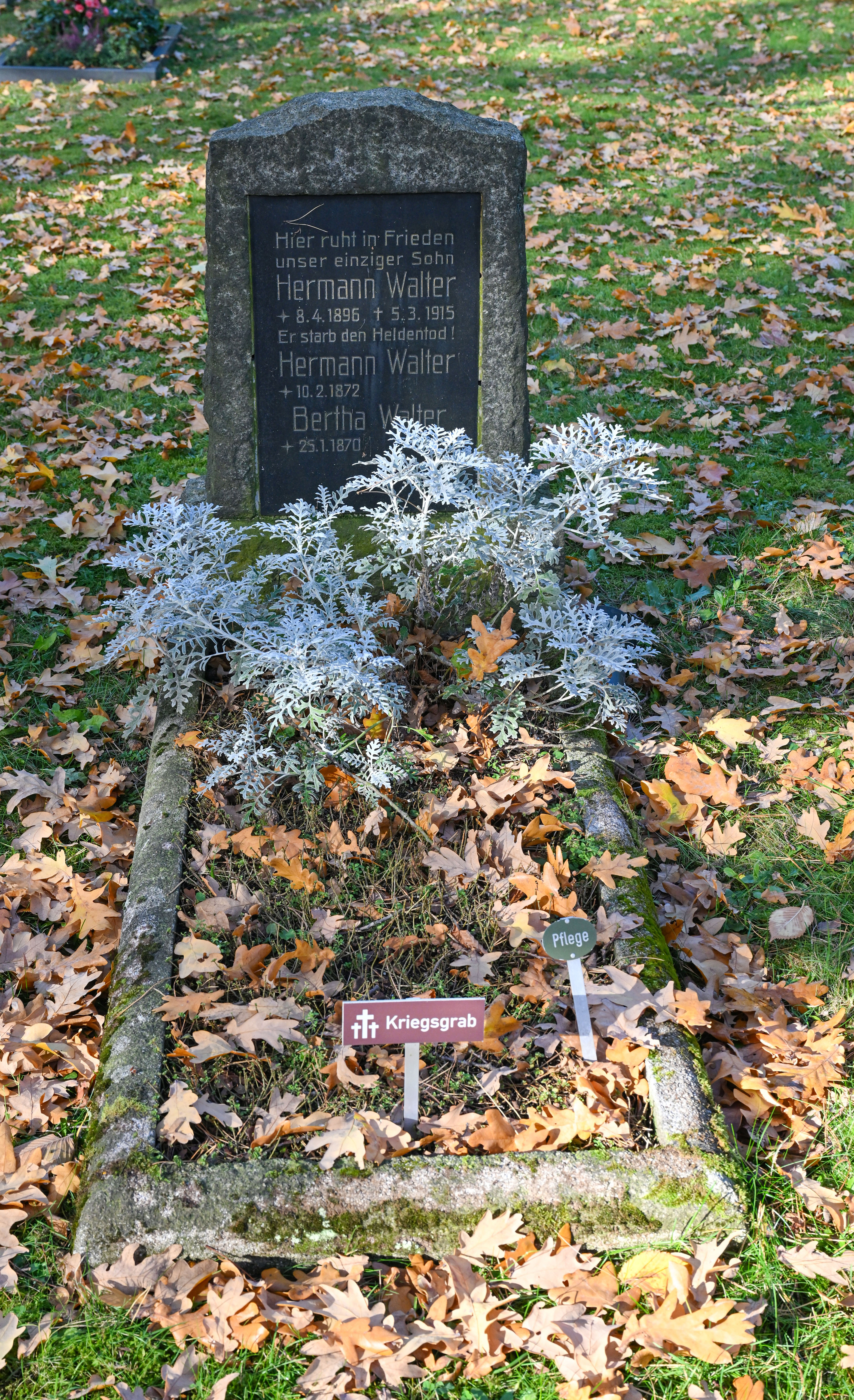 Grabstätte von Hermann Friedrich Walter im Grabfeld 4D
© StSG/GSMP, Holm Helis, 2025