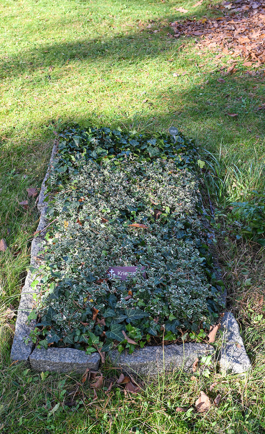 Grab des im Alter von 41 Jahren kurz nach Kriegsende gestorbenen Kutschers Max Adolf Riedel
© StSG/GSMP, Holm Helis, 2025